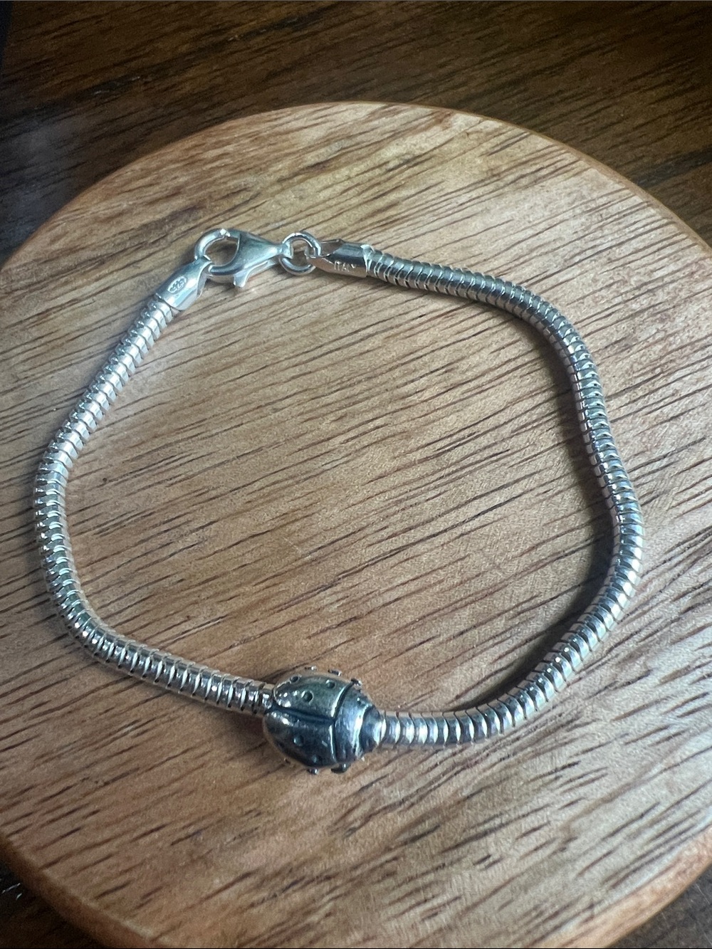 Sterling Silver Snake Chain Bracelet with Decorative ladybug charm